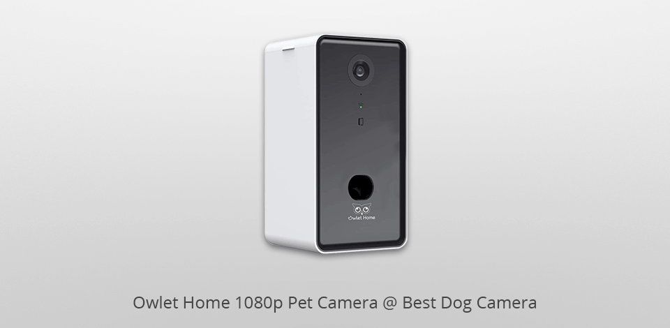 https://fixthephoto.com/images/content/owlet-home-1080p-pet-camera-dog-camera.png