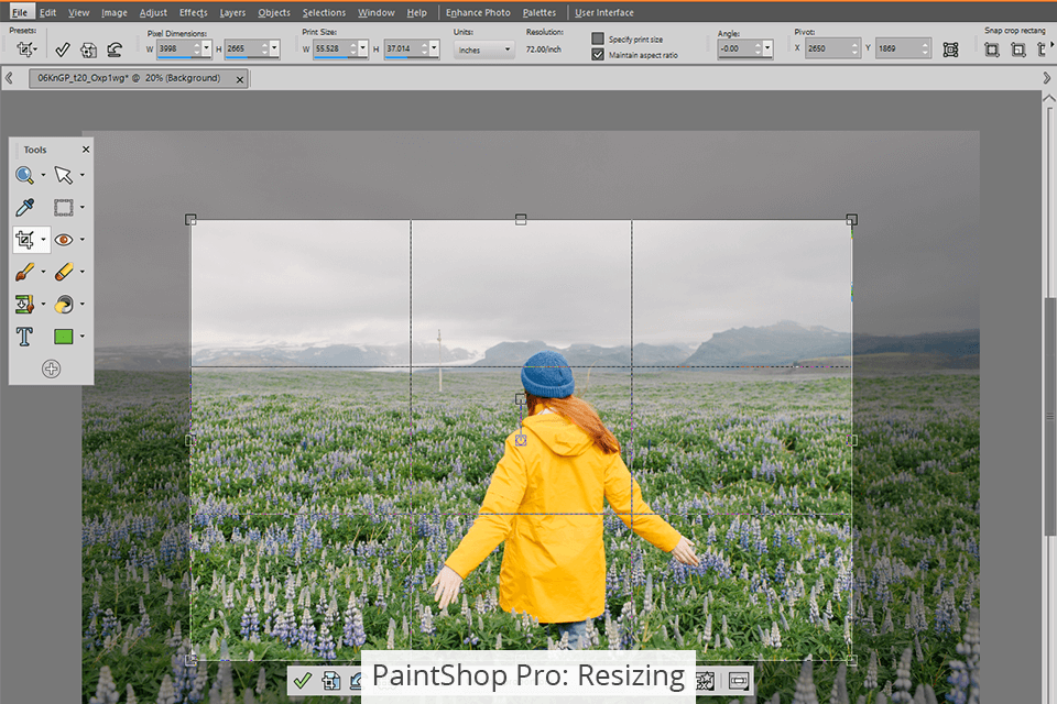 paintshop pro resizing