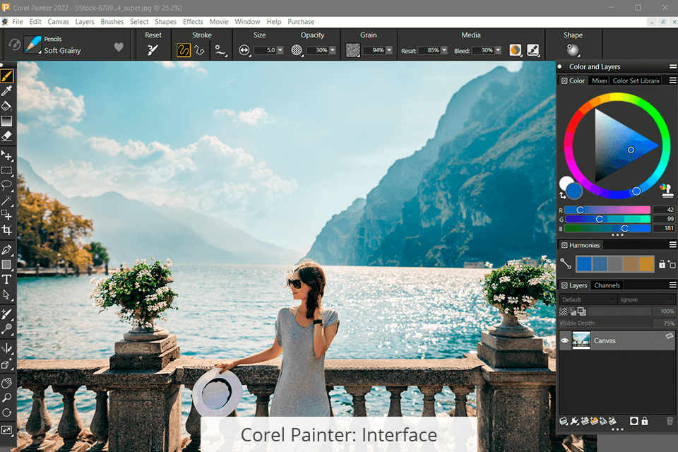 corel painter interface