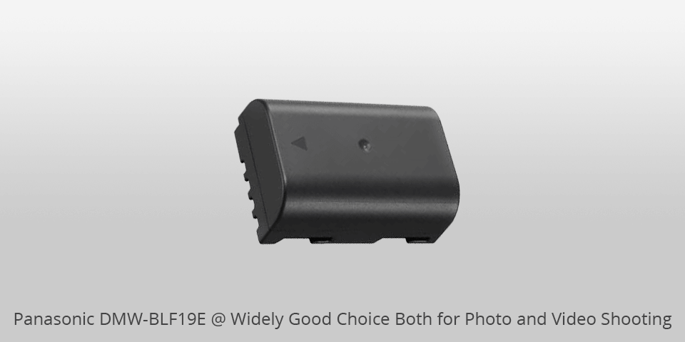 panasonic dmw blf19e third party camera battery