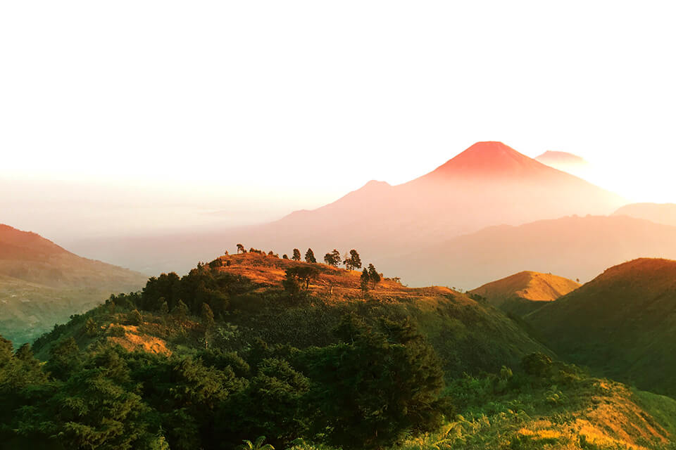 panasonic g85 spiegelloze camera onder de 1000 levensstijl