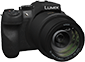 panasonic lumix fz300 point and shoot camera under 500