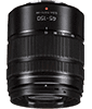 panasonic lumix g vario 45-150mm f4.0-5.6 lens
