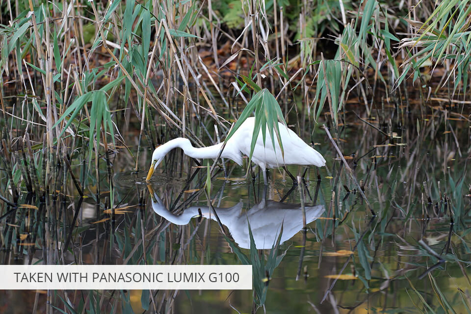 Photo Prisr Par Panasonic Lumix G100.