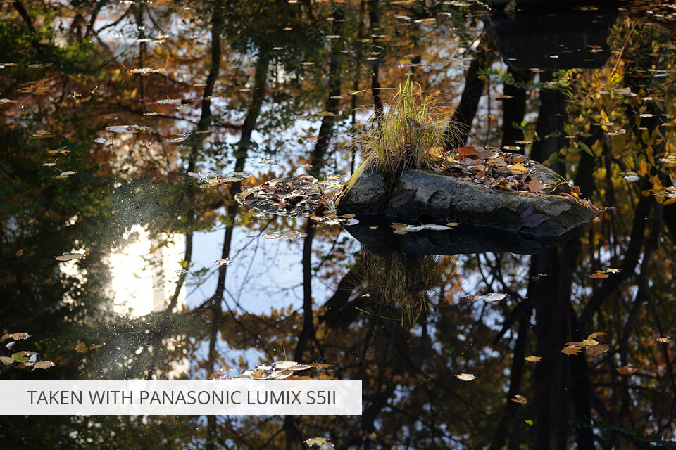 Photo Prisr Par Panasonic Lumix S5II.