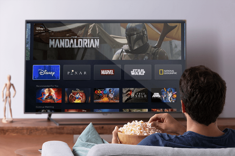 pazu disney video downloader technical characteristics