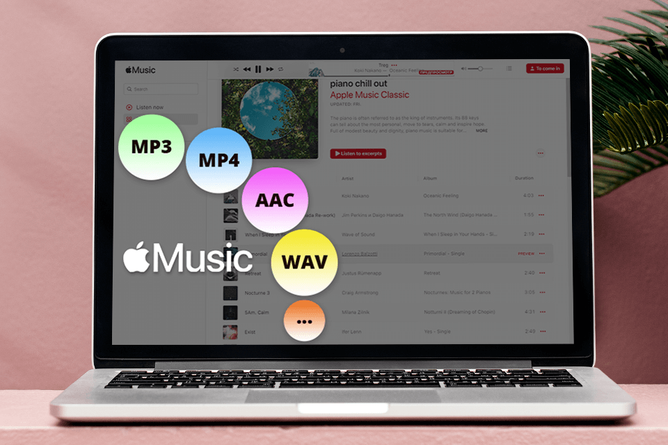 pazu music converter apple music