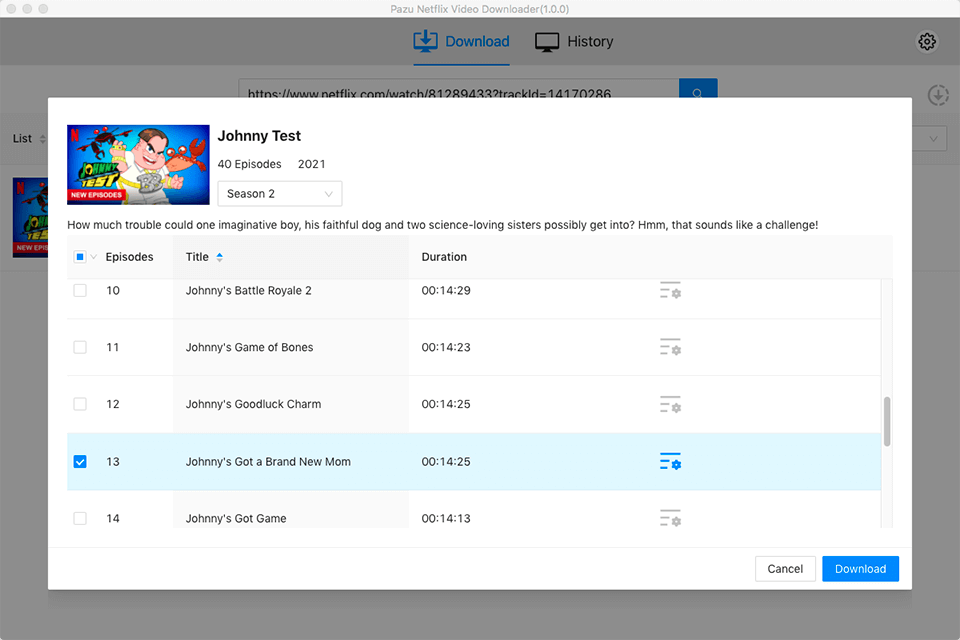 pazu netflix video downloader settings
