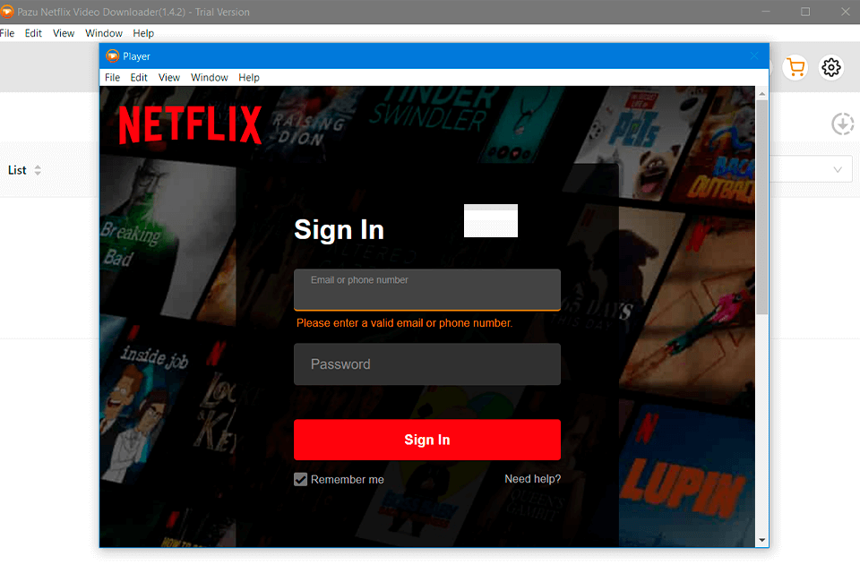 pazu netflix video downloader intuitive interface