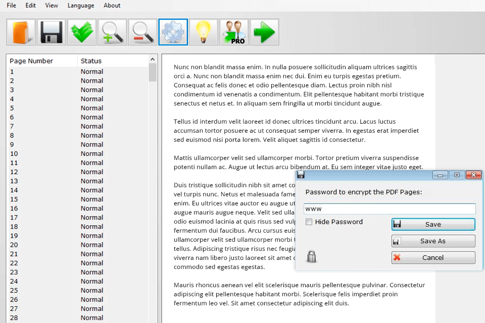 pdf page lock locker tool for windows interface