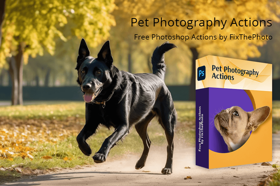 fixthephoto actions collection