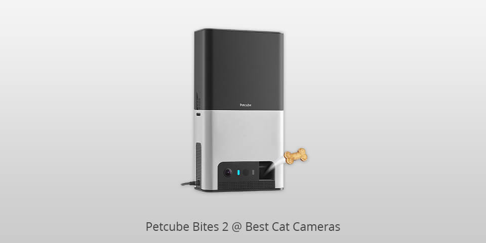 petcube bites 2 cat camera