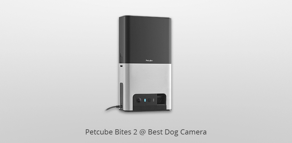petcube bites 2 dog camera