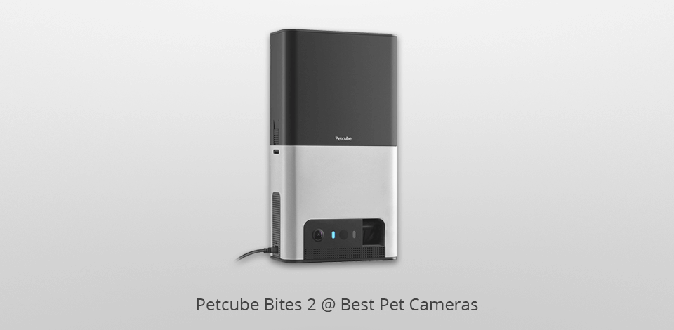 petcube bites 2 pet camera