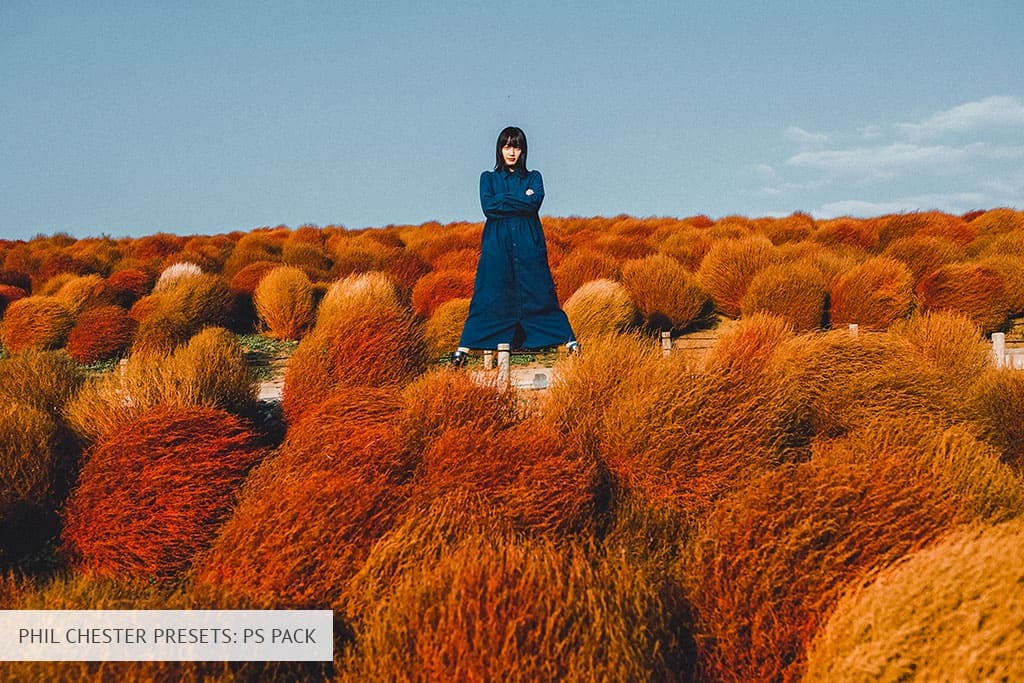 phil chester presets ps pack