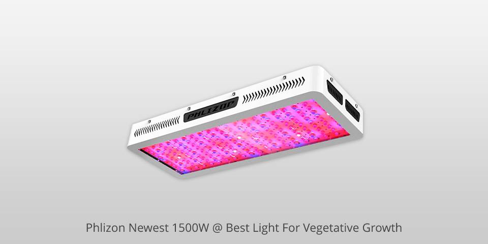 6 Best Lights For Vegetative Growth in 2024