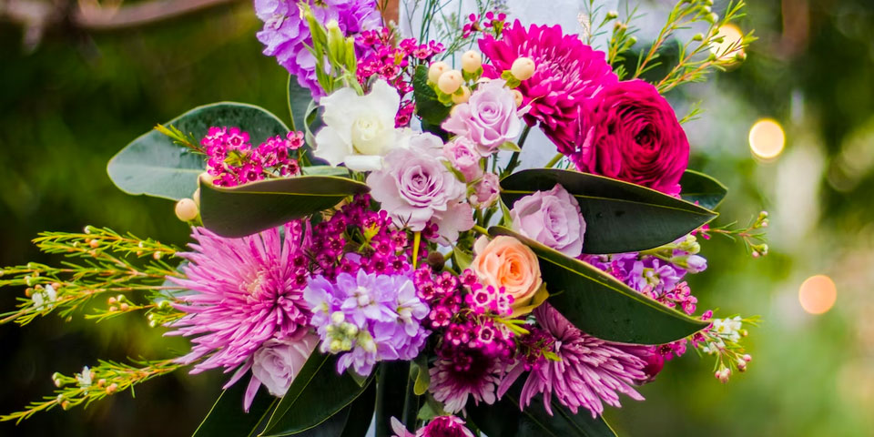 photo taken with camkix camera lens kit