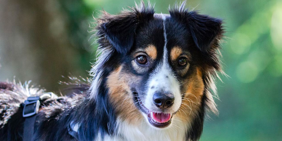 photo taken with nelomo universal professional hd camera lens kit