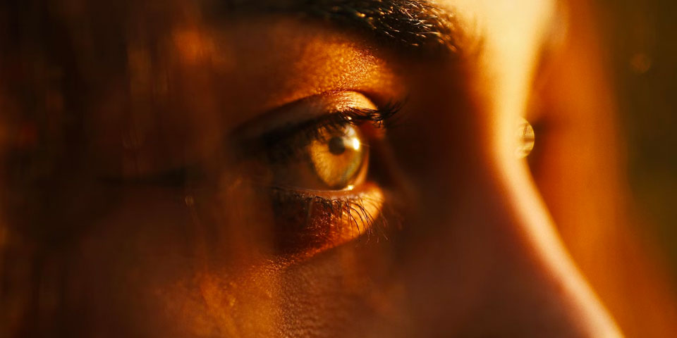 photo taken with olloclip core lens set