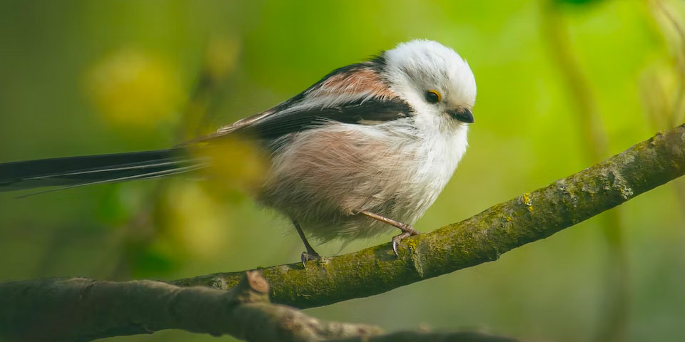 photo taken with selvim phone camera lens kit 4 in 1