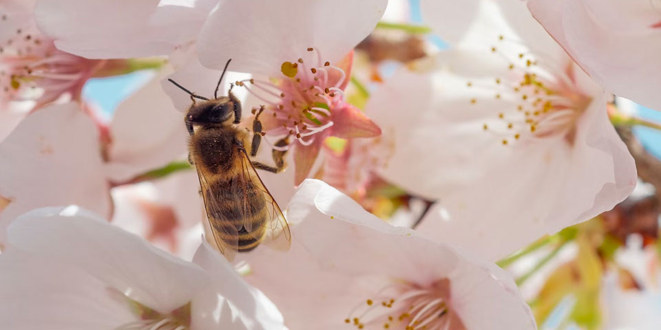 photo taken with xenvo pro lens kit