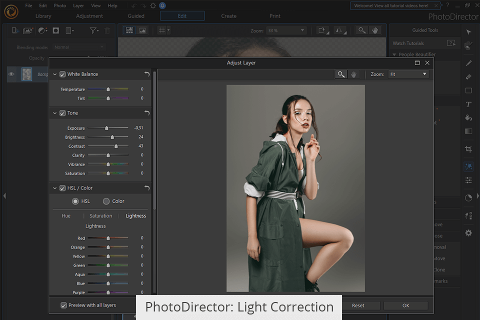 تصحيح ضوء موجه ضوئي
