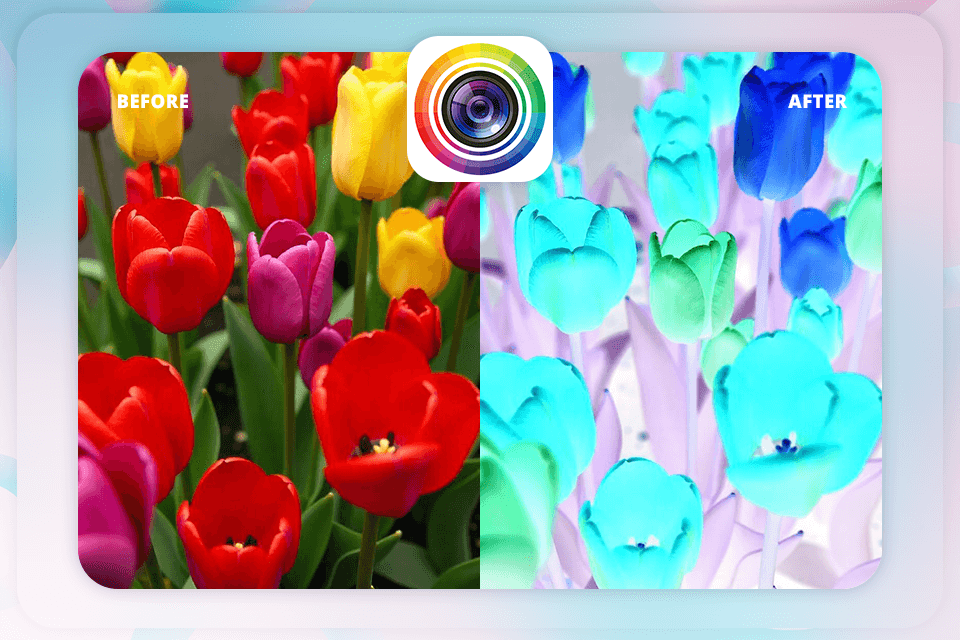 photodirector picture color inverter