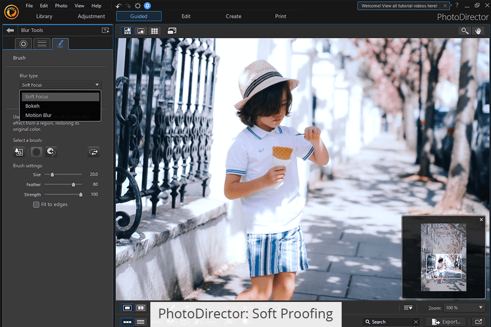 photodirector soft proofing