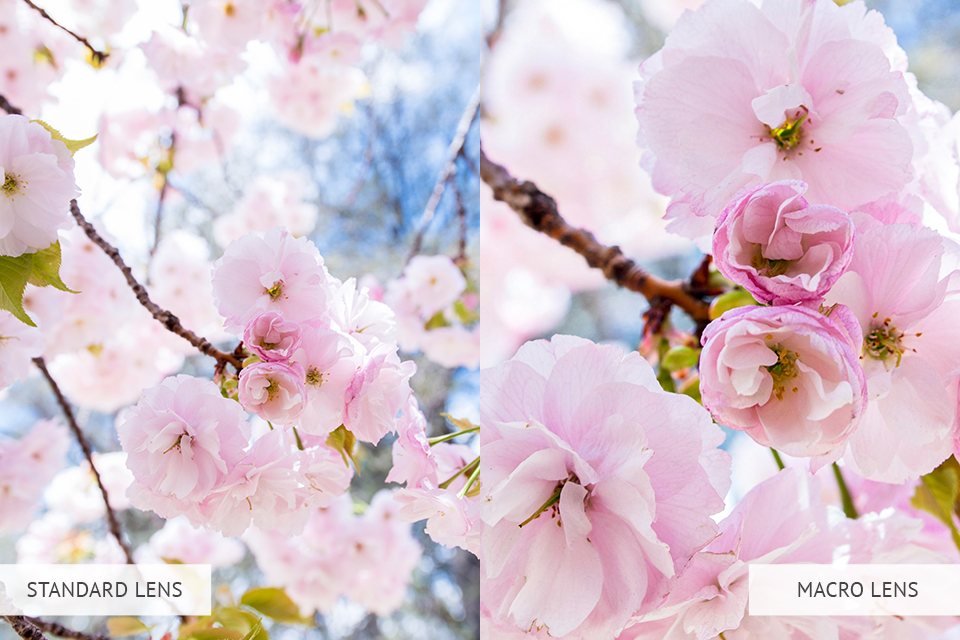 photography details macro lens