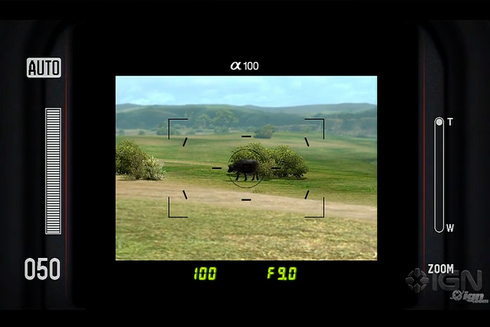 photography game afrika