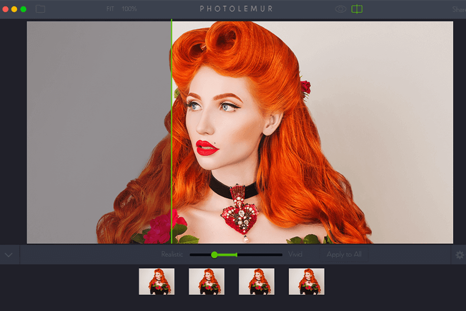 photolemur واجهة بديلة للصور