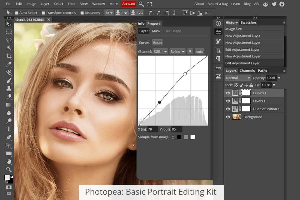 photopea basic portrait editing kit