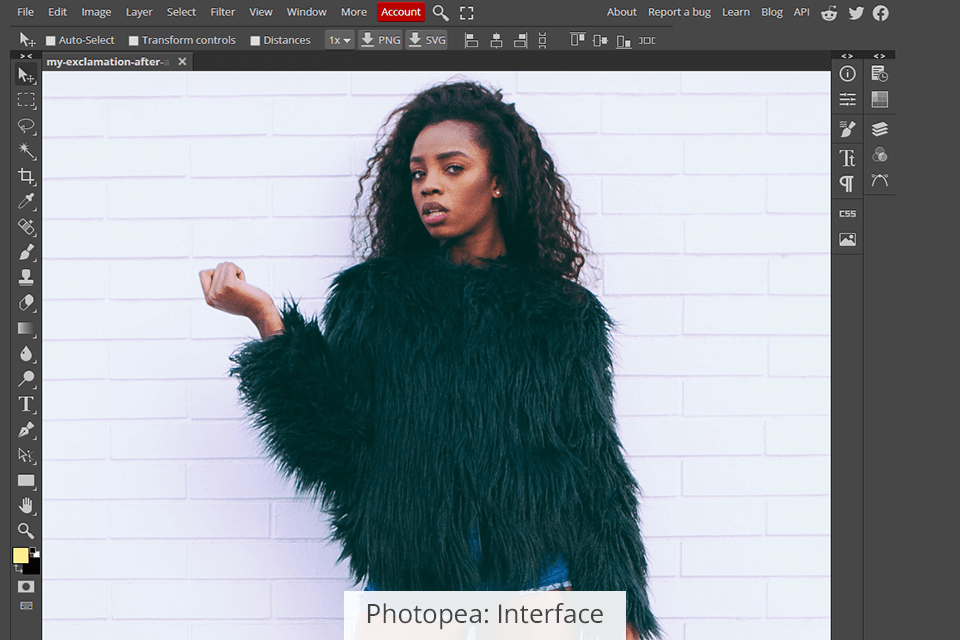 photopea interface