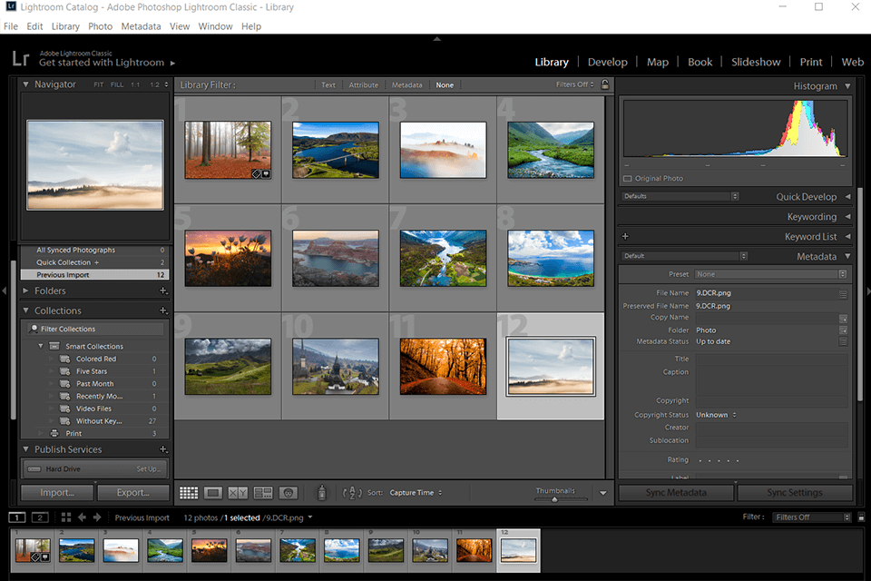 photo organizing in lightroom