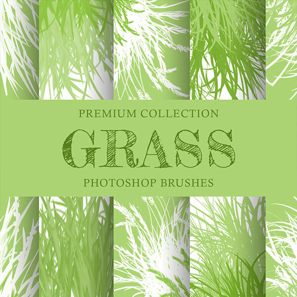 banner ps brushes meadow grass