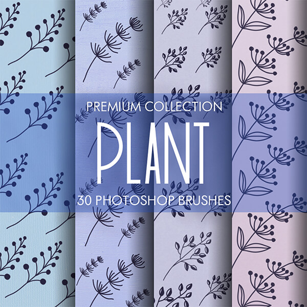 banner ps brushes hand drawn plant