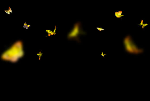 photoshop sommerfugl overlay