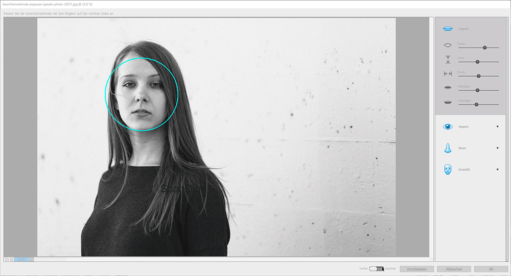 photoshop elements colorize black and white pictures