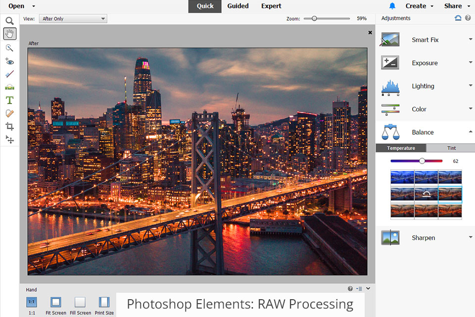 photoshop elements raw processing