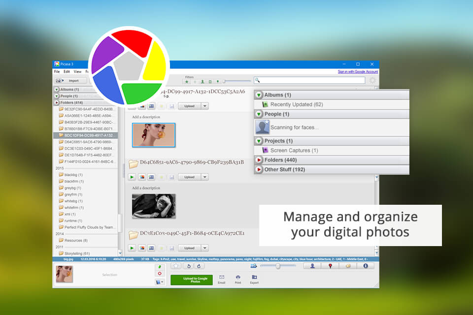 picasa interface