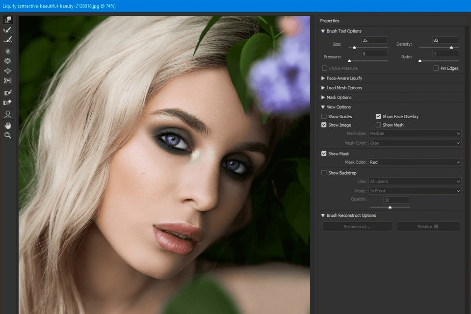 29 Pros and Cons of Adobe Photoshop for Artists 2024