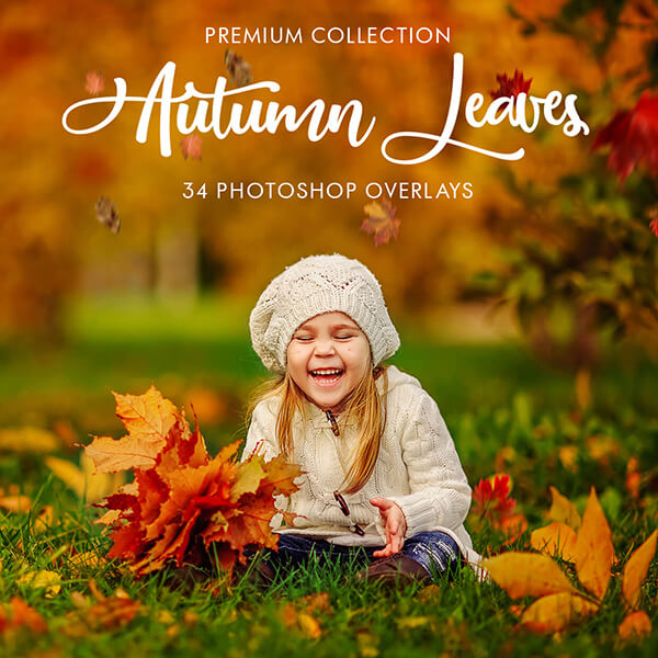 banner ps overlays autumn leaves