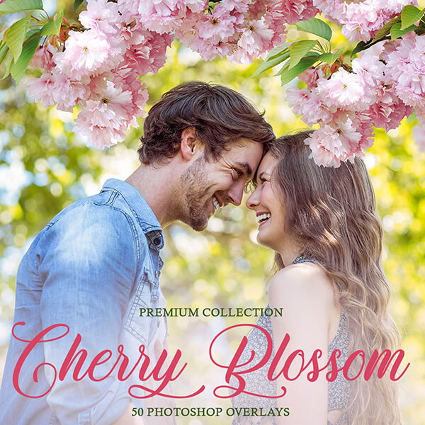 banner ps overlays cherry blossom