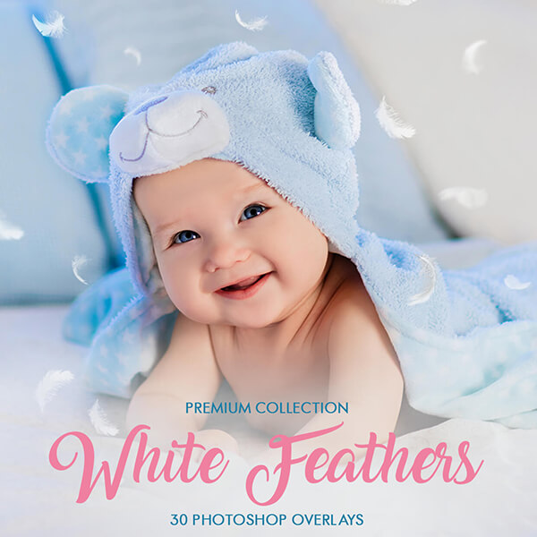 banner ps overlays white feathers