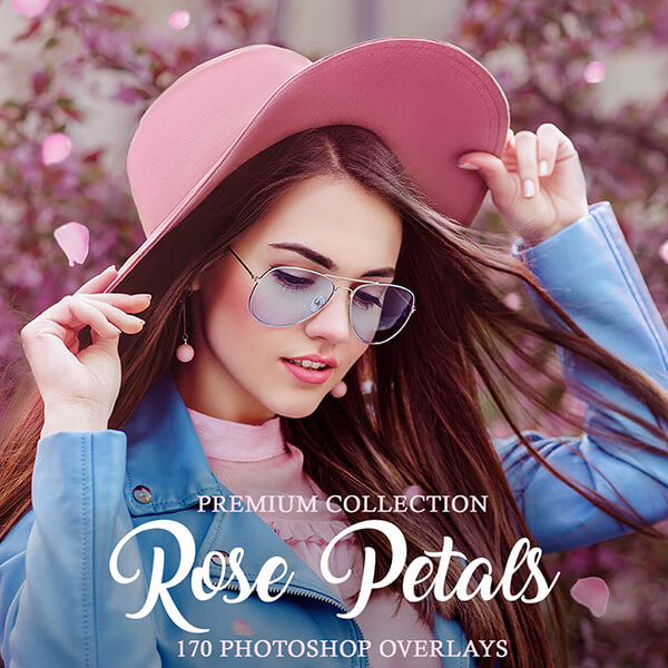 banner ps overlays rose petals