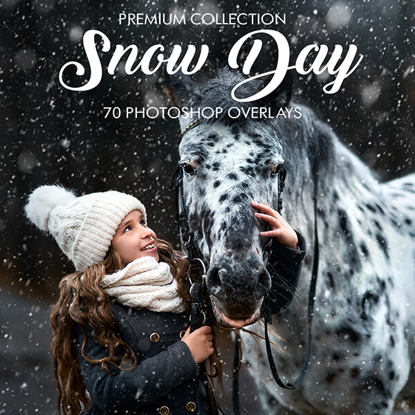 banner ps overlays snowy day