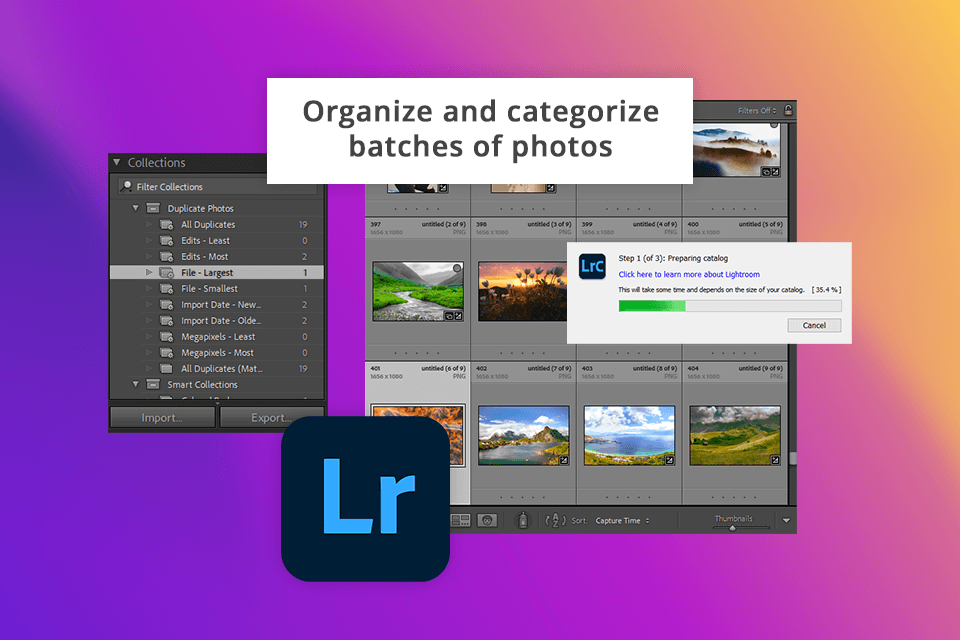 lightroom interface