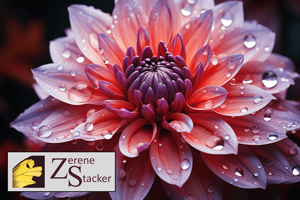 zerene stacker example