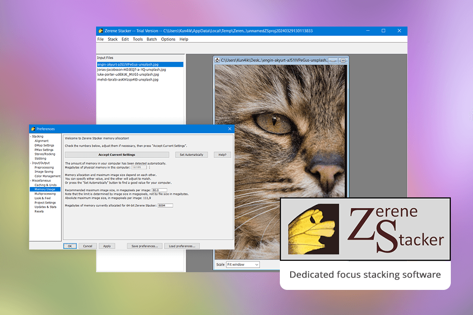 zerene stacker interface