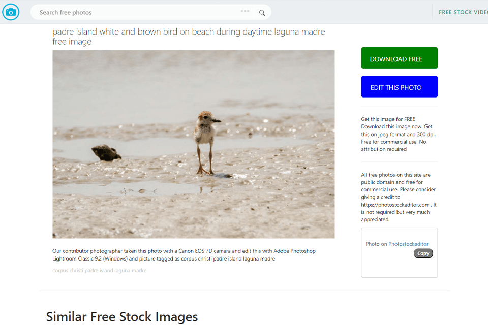 photostockeditor photo page